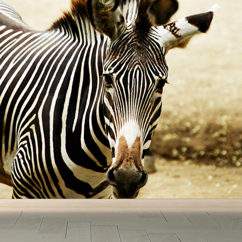 Contemporary Africa Zebra Mural Decal Pastel Color Natural Animals Wall Covering Black Clearhalo 'Wall Decor' 'Wall Mural' 1647494