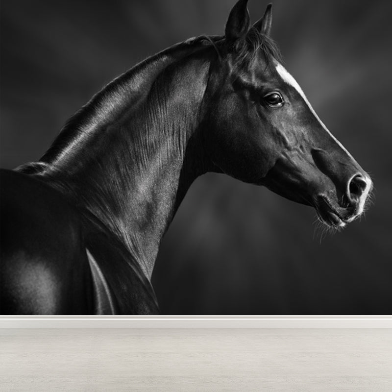 Whole Smart Steed Mural Wallpaper for Wall Decor Contemporary Boys Room Wall Art Clearhalo 'Wall Decor' 'Wall Mural' 1647605