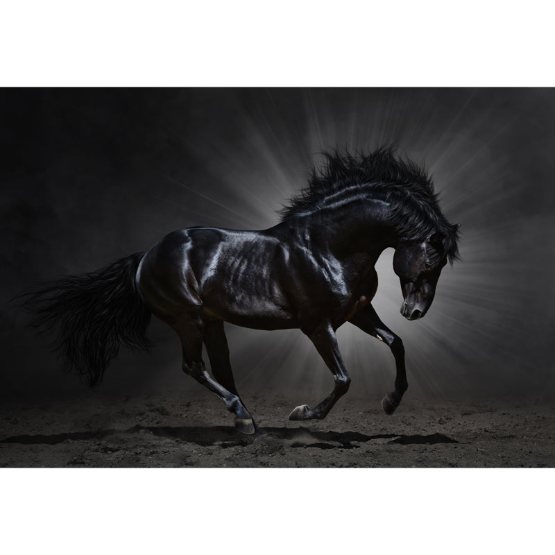 Whole Smart Steed Mural Wallpaper for Wall Decor Contemporary Boys Room Wall Art Clearhalo 'Wall Decor' 'Wall Mural' 1647612