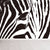 Modern Zebra Wall Mural Non-Woven Water-Proof Light Color Wall Art for Boys Bedroom Black-White Clearhalo 'Wall Decor' 'Wall Mural' 1647639