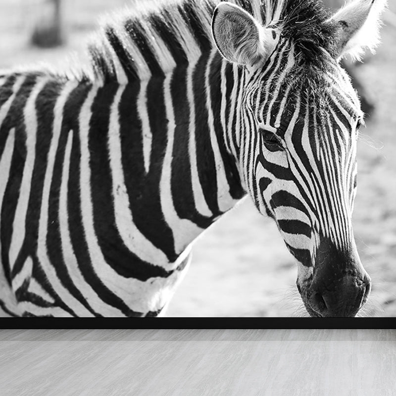 Modern Zebra Wall Mural Non-Woven Water-Proof Light Color Wall Art for Boys Bedroom White Clearhalo 'Wall Decor' 'Wall Mural' 1647644