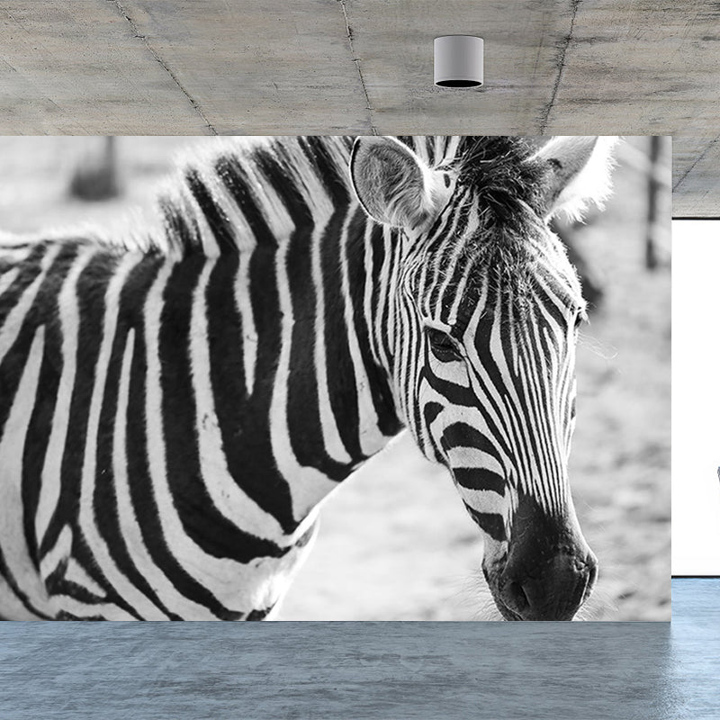 Modern Zebra Wall Mural Non-Woven Water-Proof Light Color Wall Art for Boys Bedroom Clearhalo 'Wall Decor' 'Wall Mural' 1647645