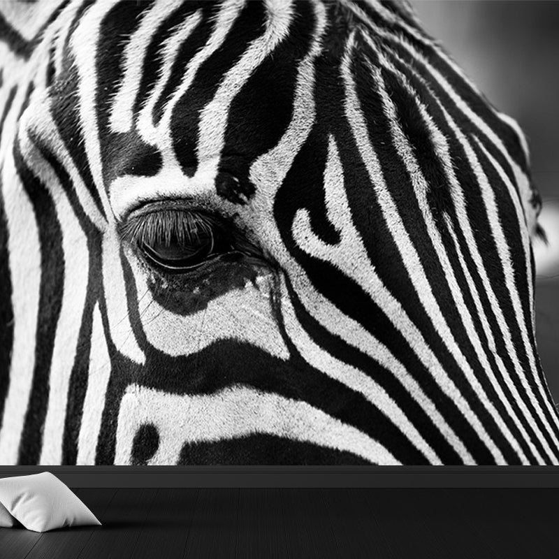 Modern Zebra Wall Mural Non-Woven Water-Proof Light Color Wall Art for Boys Bedroom Black Clearhalo 'Wall Decor' 'Wall Mural' 1647649