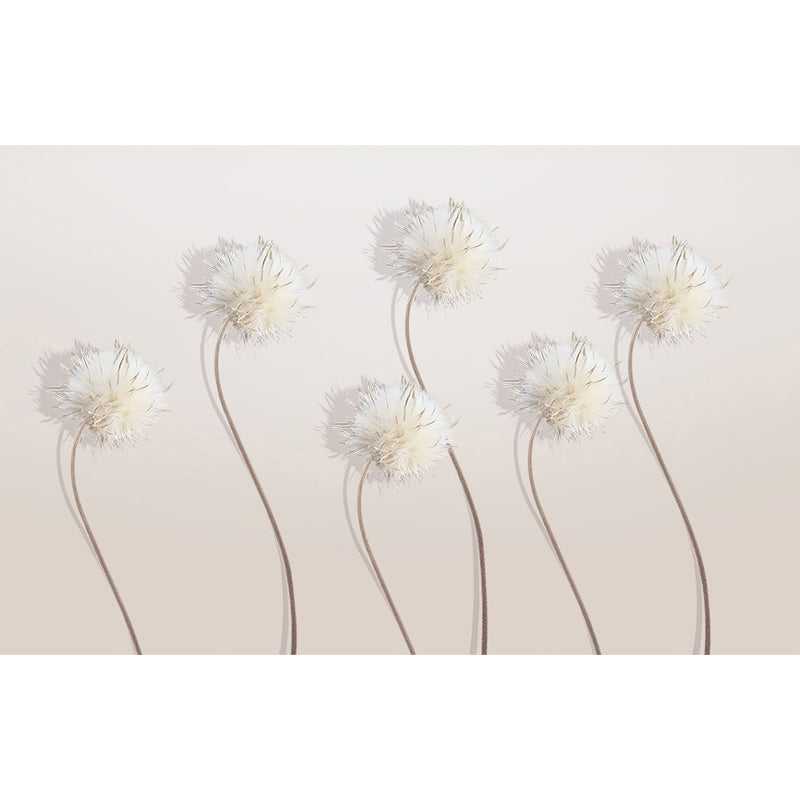 Whole Dandelion Mural Pastel Color Non-Woven Wall Art for Indoor Decor, Personalised Clearhalo 'Wall Decor' 'Wall Mural' 1647713