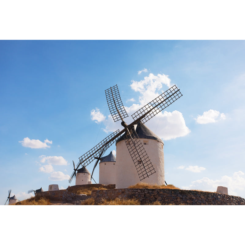 European Windmill Mural Wallpaper for Dining Room Summer Wall Decor, Custom Printed Clearhalo 'Wall Decor' 'Wall Mural' 1647723