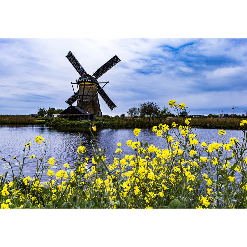 Whole Riverside Windmill Mural Decal for Wall Decor Contemporary Guest Room Wall Art Clearhalo 'Wall Decor' 'Wall Mural' 1647738