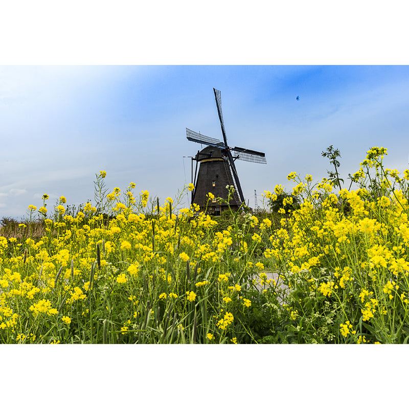 Whole Riverside Windmill Mural Decal for Wall Decor Contemporary Guest Room Wall Art Clearhalo 'Wall Decor' 'Wall Mural' 1647743