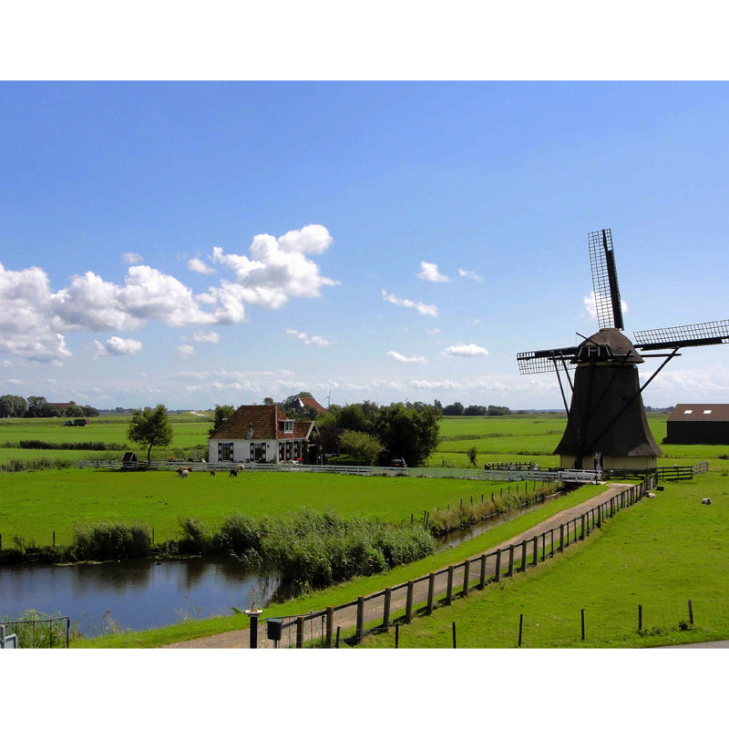 Whole Riverside Windmill Mural Decal for Wall Decor Contemporary Guest Room Wall Art Clearhalo 'Wall Decor' 'Wall Mural' 1647748
