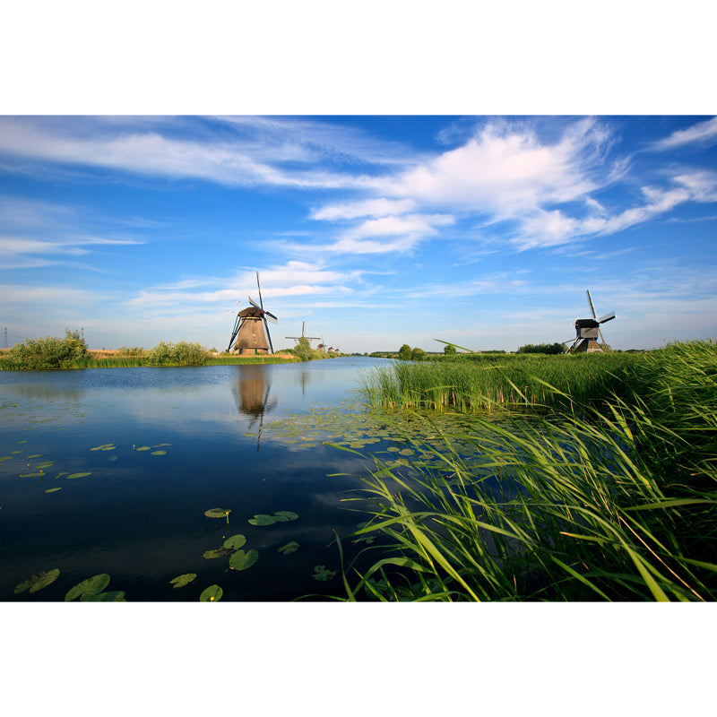 Whole Riverside Windmill Mural Decal for Wall Decor Contemporary Guest Room Wall Art Clearhalo 'Wall Decor' 'Wall Mural' 1647753