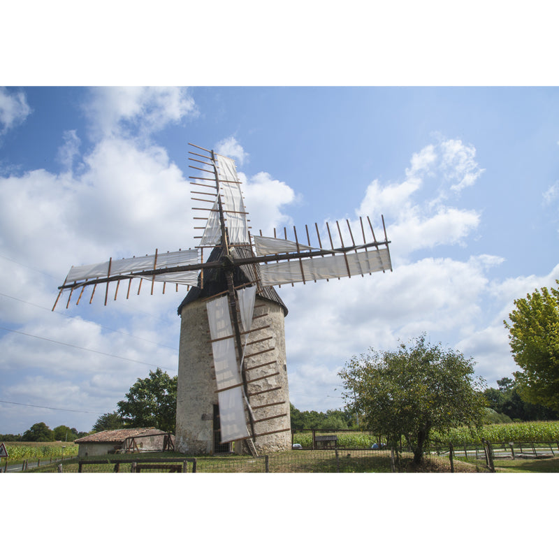 Delectable Windmill Mural Wallpaper for Dining Room Spring Wall Decor, Customised Clearhalo 'Wall Decor' 'Wall Mural' 1647936