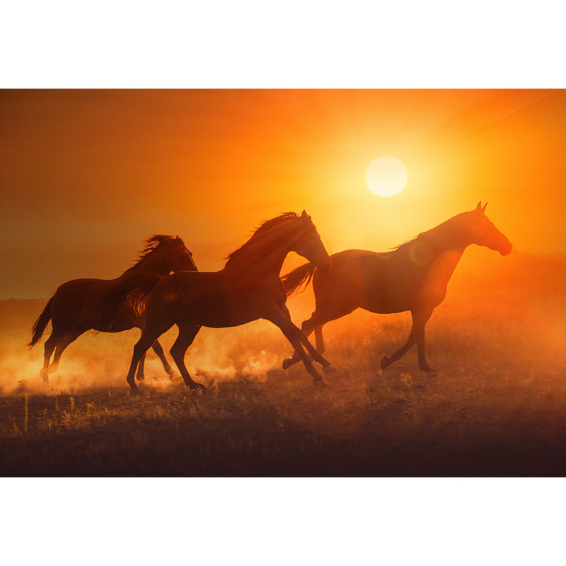 Running Horse and Sunset Mural Decal for Boys Bedroom Animals Wall Decor, Custom Clearhalo 'Wall Decor' 'Wall Mural' 1648171