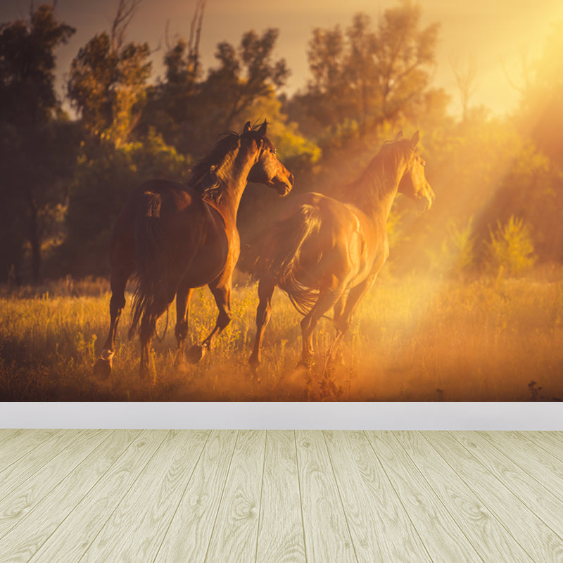 Running Horse and Sunset Mural Decal for Boys Bedroom Animals Wall Decor, Custom Orange Design 3 Clearhalo 'Wall Decor' 'Wall Mural' 1648178