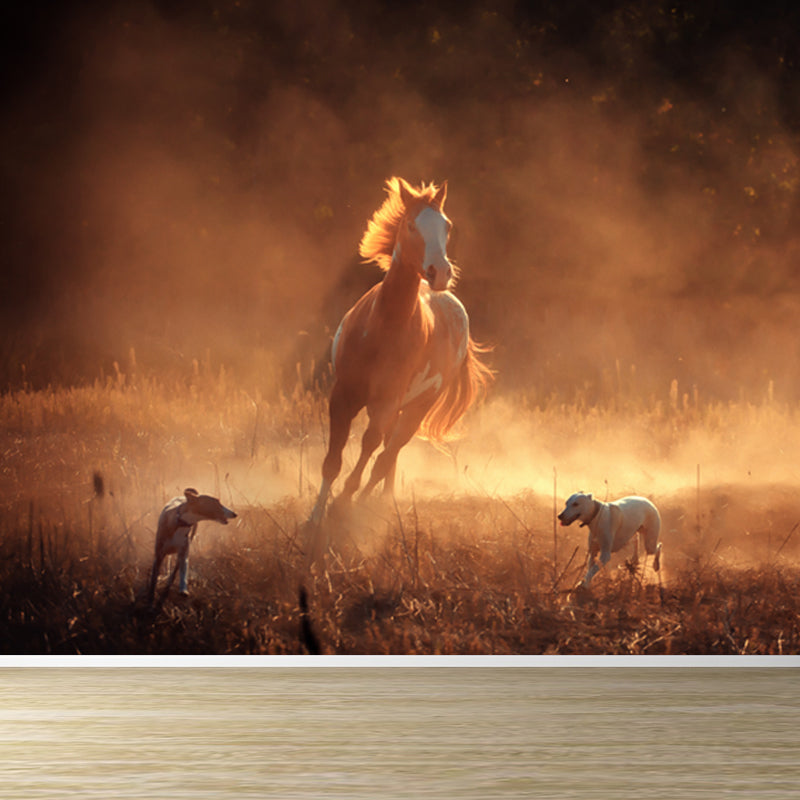 Running Horse and Sunset Mural Decal for Boys Bedroom Animals Wall Decor, Custom Clearhalo 'Wall Decor' 'Wall Mural' 1648184
