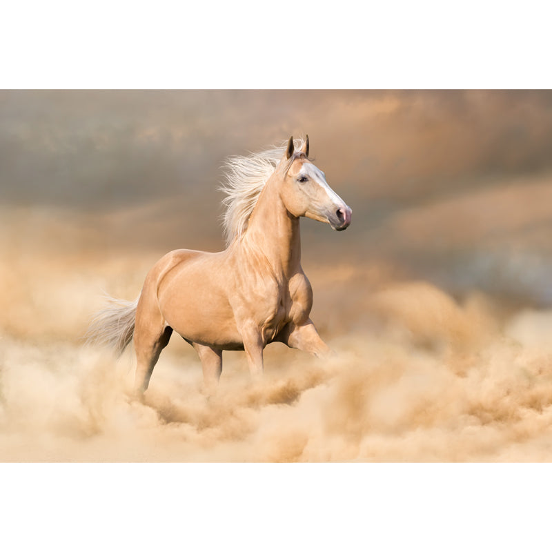 Photography Running Horse Wall Mural for Dining Room, Brown, Custom Size Available Clearhalo 'Wall Decor' 'Wall Mural' 1648256