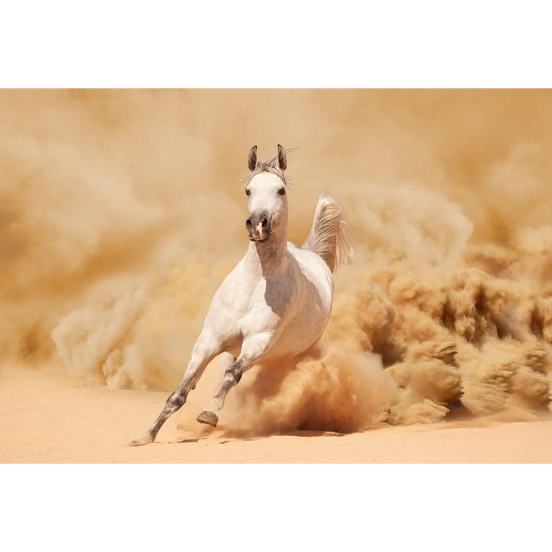 Photography Running Horse Wall Mural for Dining Room, Brown, Custom Size Available Clearhalo 'Wall Decor' 'Wall Mural' 1648266