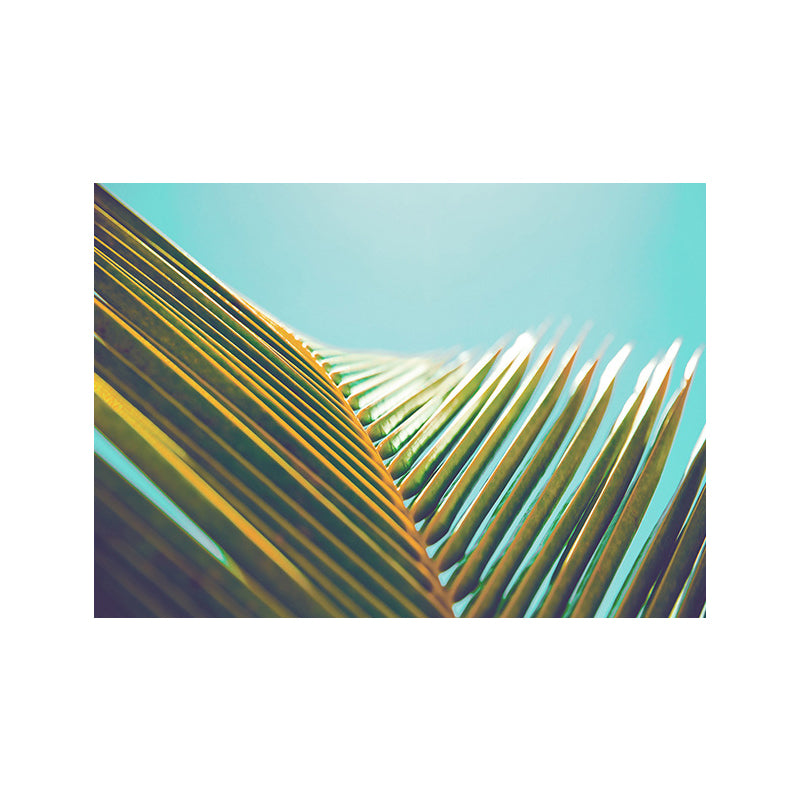 Coconut Branch Wall Art Tropical Beautiful Palm Leaf Canvas Print in Green on Blue Clearhalo 'Art Gallery' 'Canvas Art' 'Coastal Art Gallery' 'Nautical' Arts' 1652389