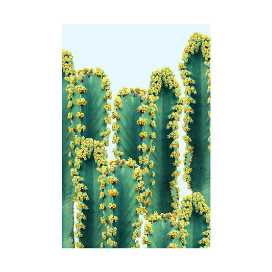 Novelty Cactus Canvas Wall Art for Bedroom Botanix Wall Decoration in Green, Texture Clearhalo 'Art Gallery' 'Canvas Art' 'Contemporary Art Gallery' 'Modern' Arts' 1652590
