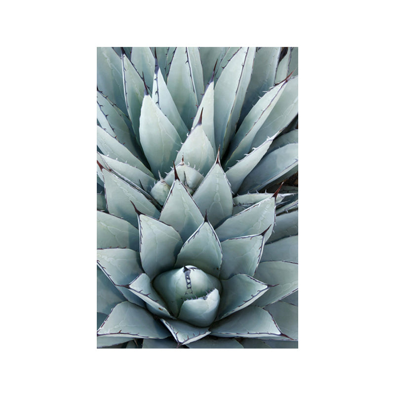 Modern Botanic Aloe Vera Canvas Print Pastel Color Textured Wall Art for Room Clearhalo 'Art Gallery' 'Canvas Art' 'Contemporary Art Gallery' 'Modern' Arts' 1652810