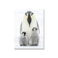 Photo-Print Penguin Family Canvas Wall Art for Living Room, Grey and White, Textured Clearhalo 'Art Gallery' 'Canvas Art' 'Contemporary Art Gallery' 'Modern' Arts' 1653025