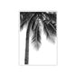 Coconut Tree Painting Gray Canvas Wall Art Decor Textured, Multiple Sizes Options Clearhalo 'Art Gallery' 'Canvas Art' 'Coastal Art Gallery' 'Nautical' Arts' 1655698