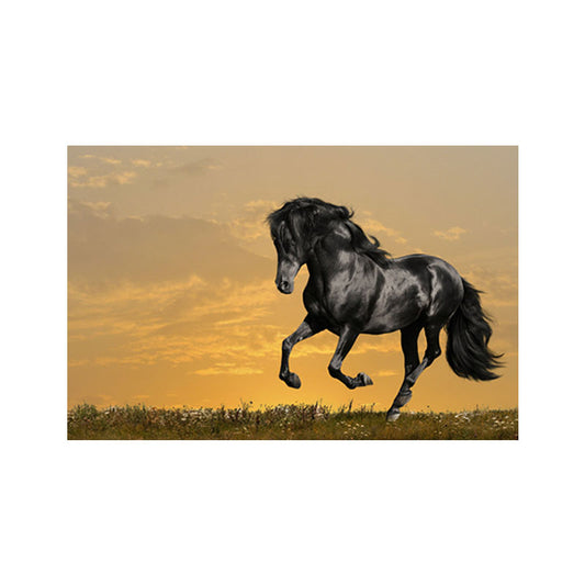 Photographs Modern Canvas Wall Art with Steed Running Pattern in Dark Color for Room Clearhalo 'Art Gallery' 'Canvas Art' 'Contemporary Art Gallery' 'Modern' Arts' 1656829
