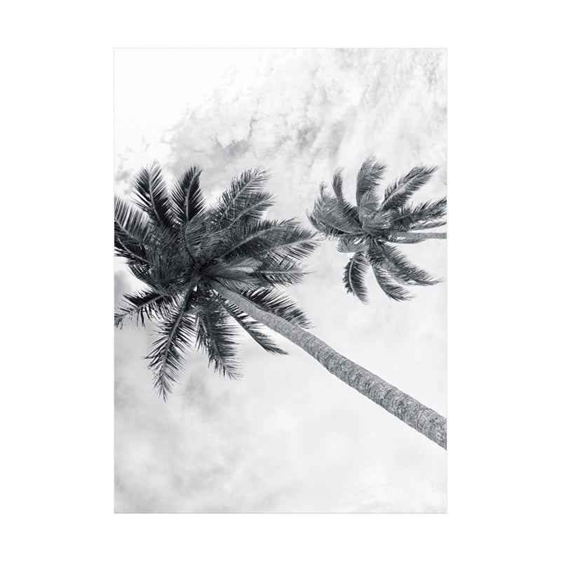 Photography Tropix Wall Art Print with Coconut Tree Looking-Up View in Grey for Room Clearhalo 'Art Gallery' 'Canvas Art' 'Coastal Art Gallery' 'Nautical' Arts' 1656840