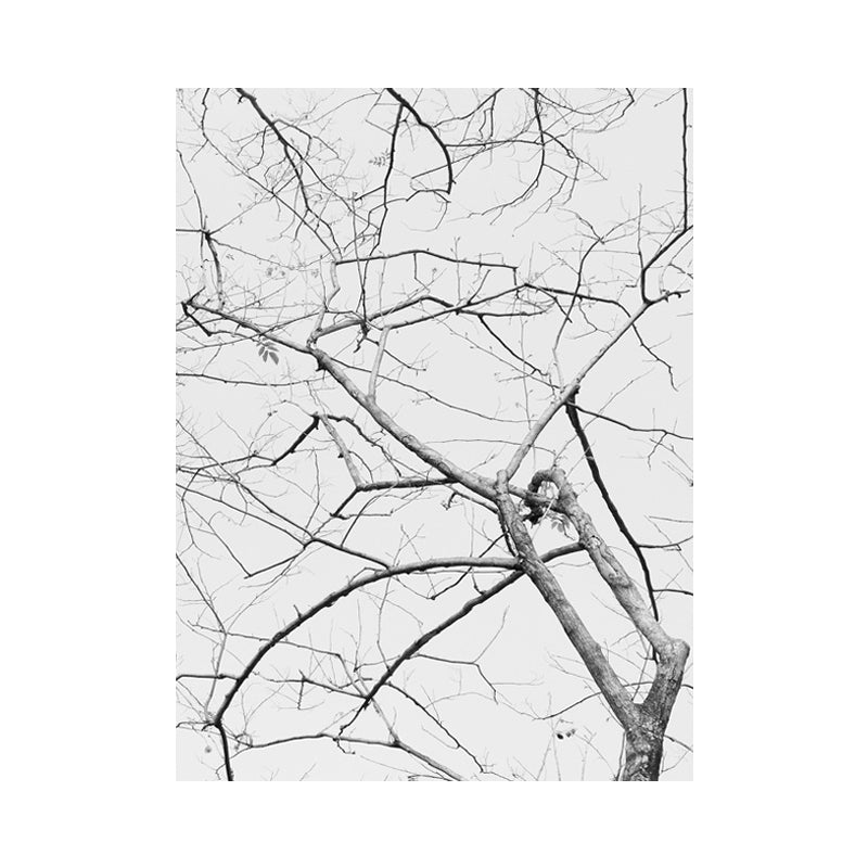Minimalism Bare Tree Branch Canvas in Grey Textured Wall Art Decor for Living Room Clearhalo 'Art Gallery' 'Canvas Art' 'Contemporary Art Gallery' 'Contemporary Art' 'Minimalism' 'Minimalist Art Gallery' 'Scandinavian' Arts' 1657668