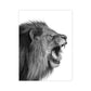 Photography Lion Roaring Canvas Wall Art for House Interior, Grey and White, Textured Clearhalo 'Art Gallery' 'Canvas Art' 'Contemporary Art Gallery' 'Modern' Arts' 1658790