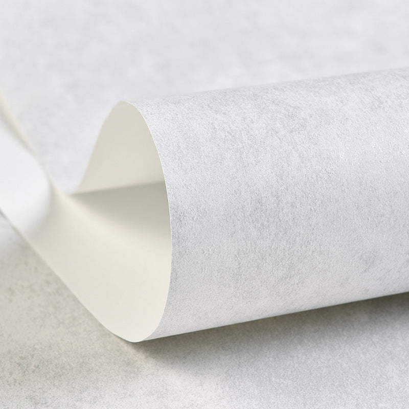 Unpasted Solid Wallpaper Roll Non-Woven Cloth Minimalist Wall Covering for Living Room Cream Gray 1 Set Clearhalo 'Modern wall decor' 'Modern' 'Wallpaper' Wall Decor' 1689474