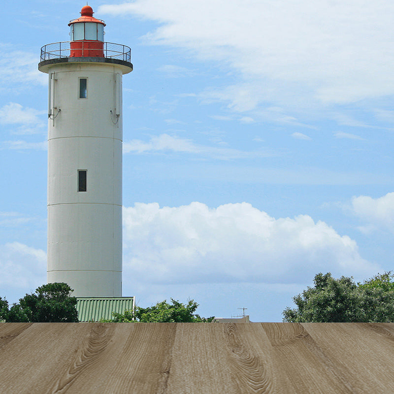 Photography Style Beacon Wall Mural for Living Room, Blue, Custom Size Available Clearhalo 'Wall Decor' 'Wall Mural' 1689796