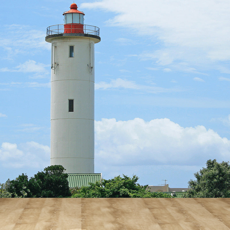 Photography Style Beacon Wall Mural for Living Room, Blue, Custom Size Available Clearhalo 'Wall Decor' 'Wall Mural' 1689797