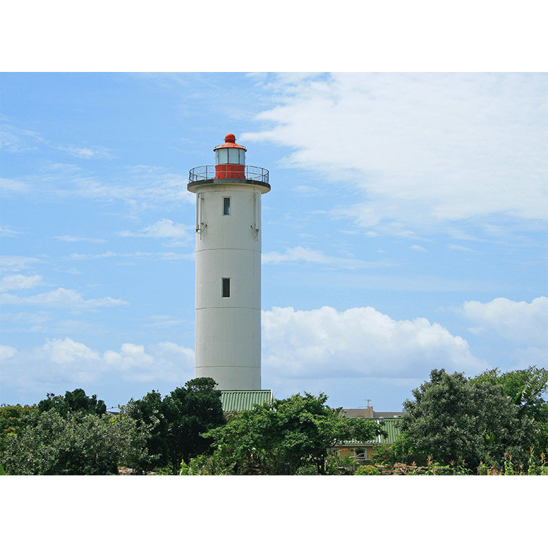 Photography Style Beacon Wall Mural for Living Room, Blue, Custom Size Available Clearhalo 'Wall Decor' 'Wall Mural' 1689798