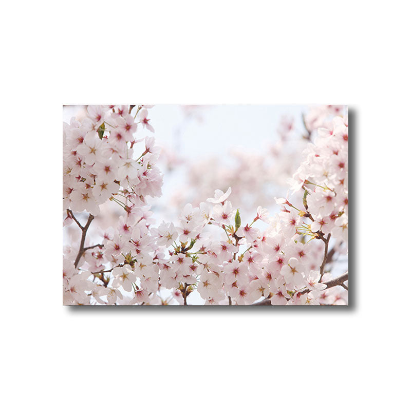 Light Color Sakura Canvas Print Floral Simplicity Home Wall Art Decor for Drawing Room Clearhalo 'Art Gallery' 'Canvas Art' 'Kids' Arts' 1691805