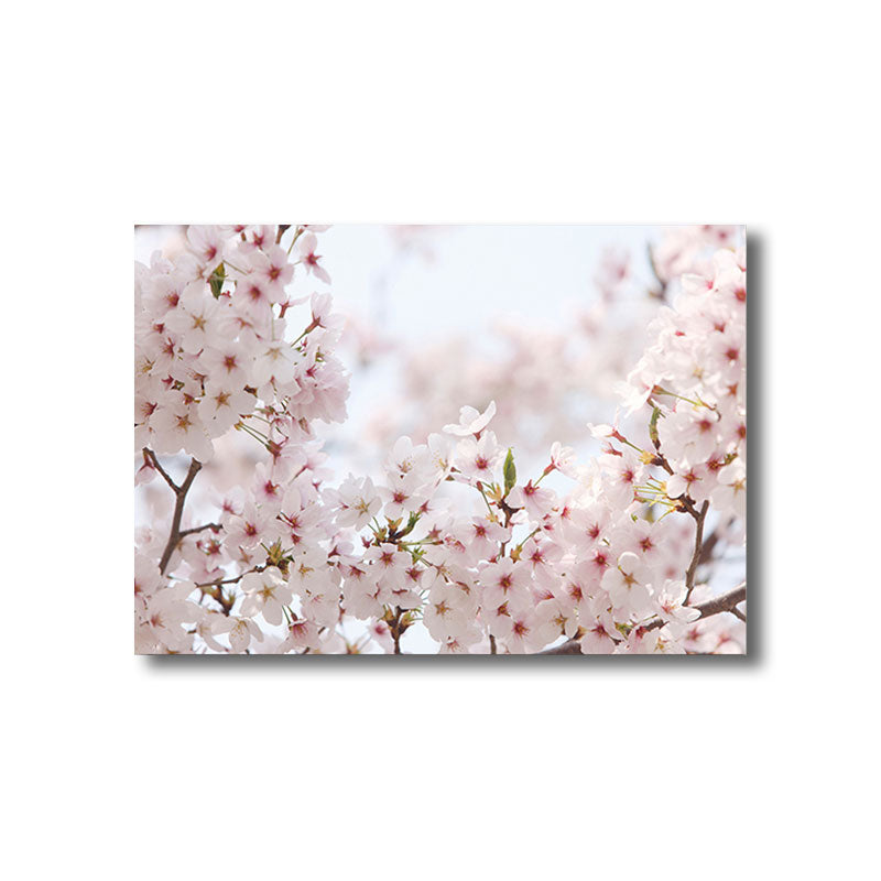 Light Color Sakura Canvas Print Floral Simplicity Home Wall Art Decor for Drawing Room Clearhalo 'Art Gallery' 'Canvas Art' 'Kids' Arts' 1691805
