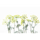 Modern Flower Cow Parsley Mural Yellow Stain-Proofing Wall Decor for Living Room Clearhalo 'Wall Decor' 'Wall Mural' 1696345