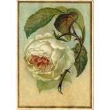 Illustration Summer Flower Wall Mural Great Wall Decor for Dining Room, Personalize Clearhalo 'Wall Decor' 'Wall Mural' 1696739