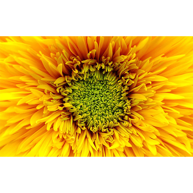 Close-Up Abstract Wall Mural Modern Non-Woven Material Wall Decor for Living Room Clearhalo 'Wall Decor' 'Wall Mural' 1697275