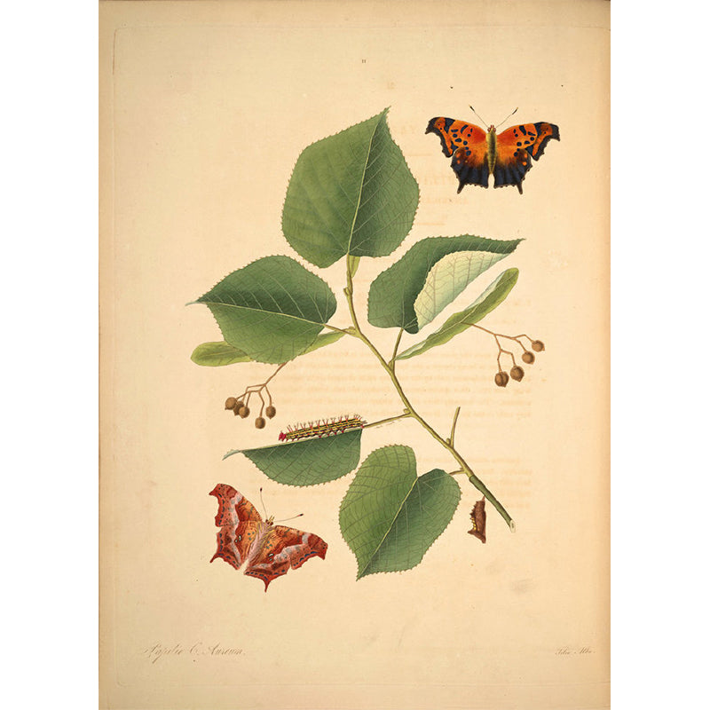 Extra Large Botanical Mural Beige Non-Woven Wall Art for Home Decor, Personalised Clearhalo 'Wall Decor' 'Wall Mural' 1699519