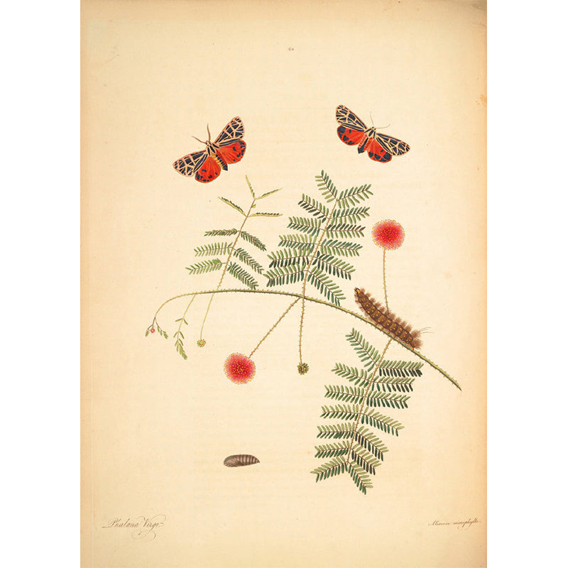 Huge Tree Branch Mural for Bedroom Botanical Wall Decor in Beige, Stain Resistant Clearhalo 'Wall Decor' 'Wall Mural' 1699564