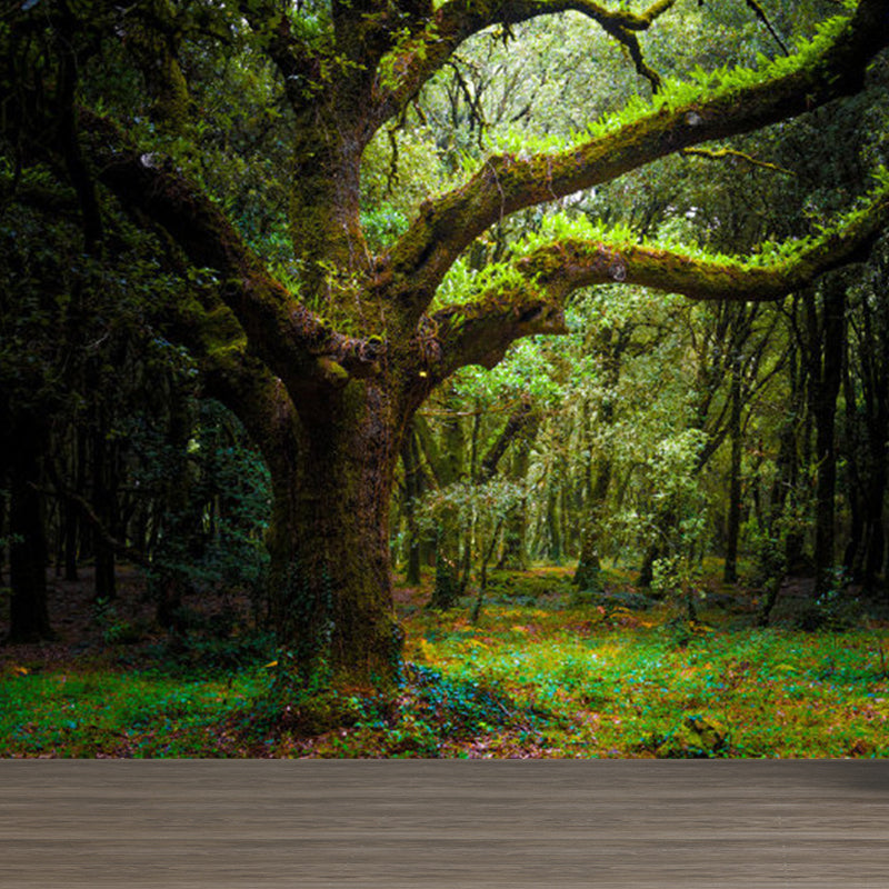 Extra Forest Extra Large Forest Trees Mural Green Non-Woven Wall Art for Indoor ...