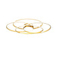 Circle Ring Flush Light Contemporary Metal Living Room LED Ceiling Fixture in Gold, Warm/White Light Clearhalo 'Ceiling Lights' 'Close To Ceiling Lights' 'Close to ceiling' 'Flush mount' Lighting' 1723834