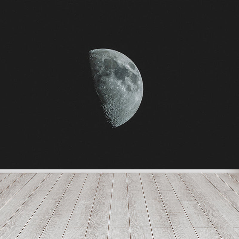 Contemporary Style Luna-Glob Mural Wallpaper Soft Color Outer Space Wall Covering Black Clearhalo 'Wall Decor' 'Wall Mural' 1729470