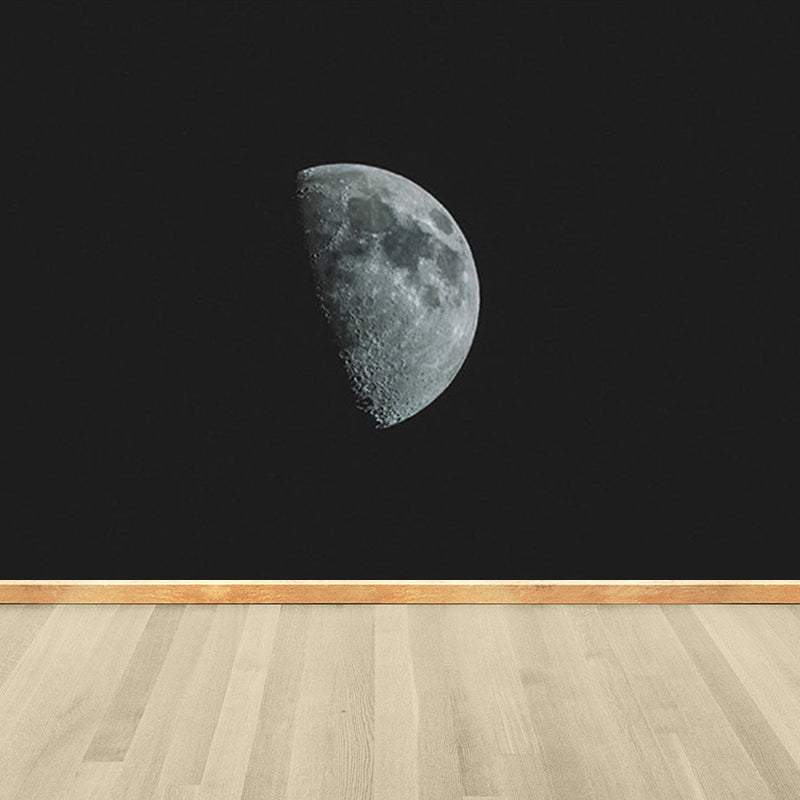 Contemporary Style Luna-Glob Mural Wallpaper Soft Color Outer Space Wall Covering Clearhalo 'Wall Decor' 'Wall Mural' 1729471