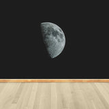 Contemporary Style Luna-Glob Mural Wallpaper Soft Color Outer Space Wall Covering Clearhalo 'Wall Decor' 'Wall Mural' 1729471