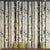 Cottage Birches Wallpaper Roll Grey and Green Living Room Wall Decor, 33' L x 20.5" W Grey Clearhalo 'Country wall decor' 'Rustic' 'Wallpaper' Wall Decor' 1730086