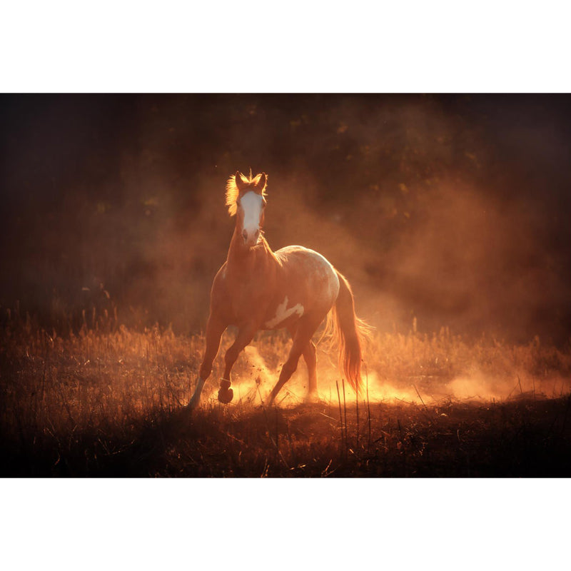 Modern Horse Wall Mural Non-Woven Stain Resistant Dark Color Wall Covering for Room Clearhalo 'Wall Decor' 'Wall Mural' 1757520