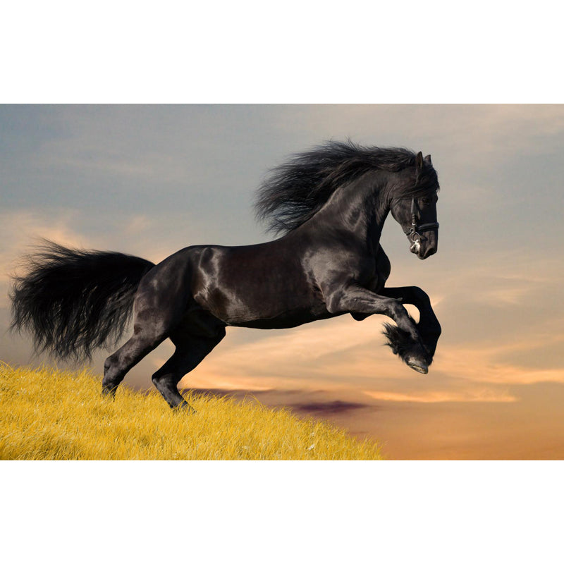 Contemporary Steed Wall Covering Mural in Dark Color Animal Wall Decor for Boys Bedroom Clearhalo 'Wall Decor' 'Wall Mural' 1757525