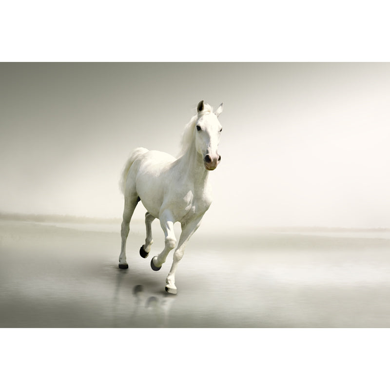 Contemporary Steed Wall Covering Mural in Dark Color Animal Wall Decor for Boys Bedroom Clearhalo 'Wall Decor' 'Wall Mural' 1757530