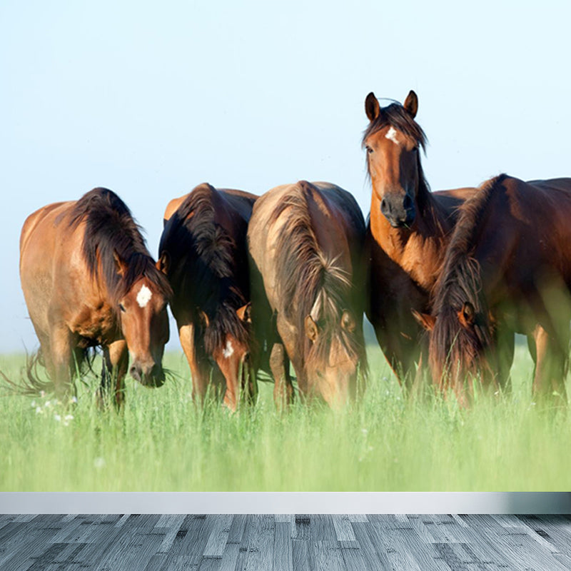 Contemporary Steed Wall Covering Mural in Dark Color Animal Wall Decor for Boys Bedroom Clearhalo 'Wall Decor' 'Wall Mural' 1757533