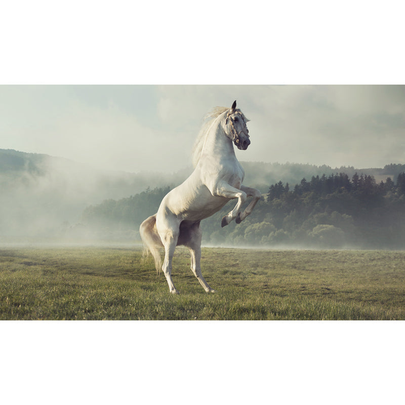 Contemporary Steed Wall Covering Mural in Dark Color Animal Wall Decor for Boys Bedroom Clearhalo 'Wall Decor' 'Wall Mural' 1757540